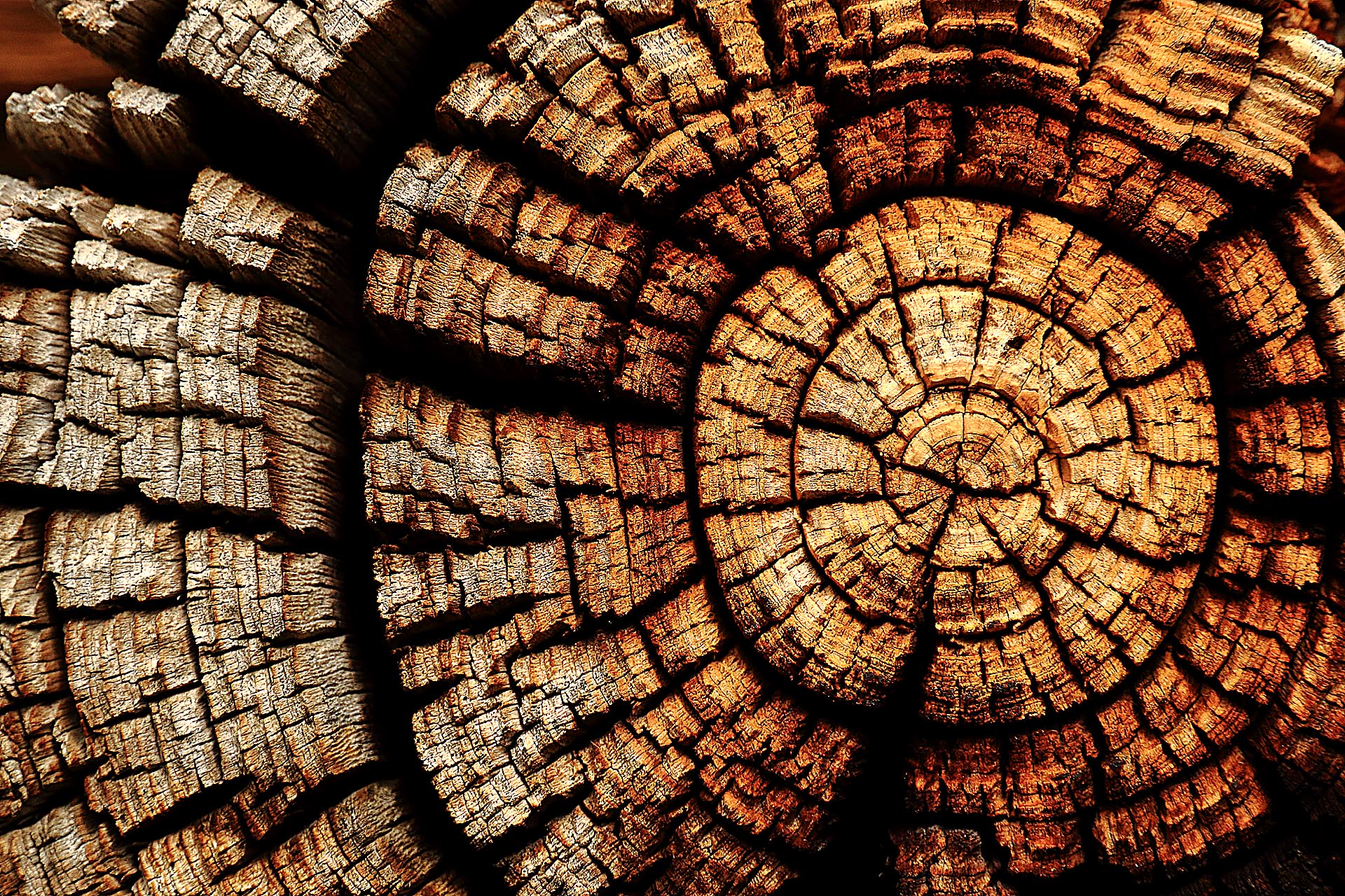 003-Houtcirkels-rh_20180730_003