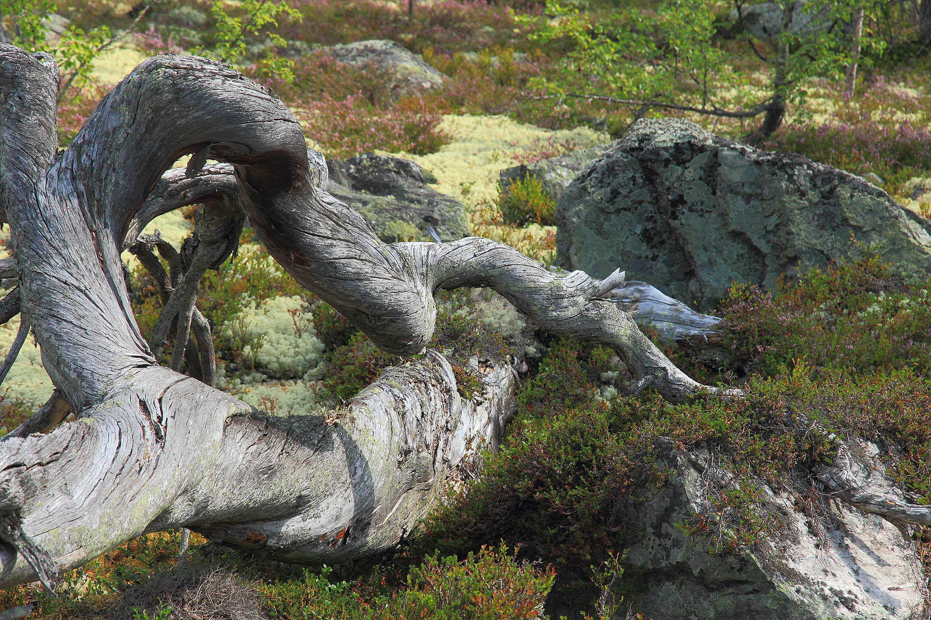 007-InspiratieFredHazelhoff-rh_20180722_036