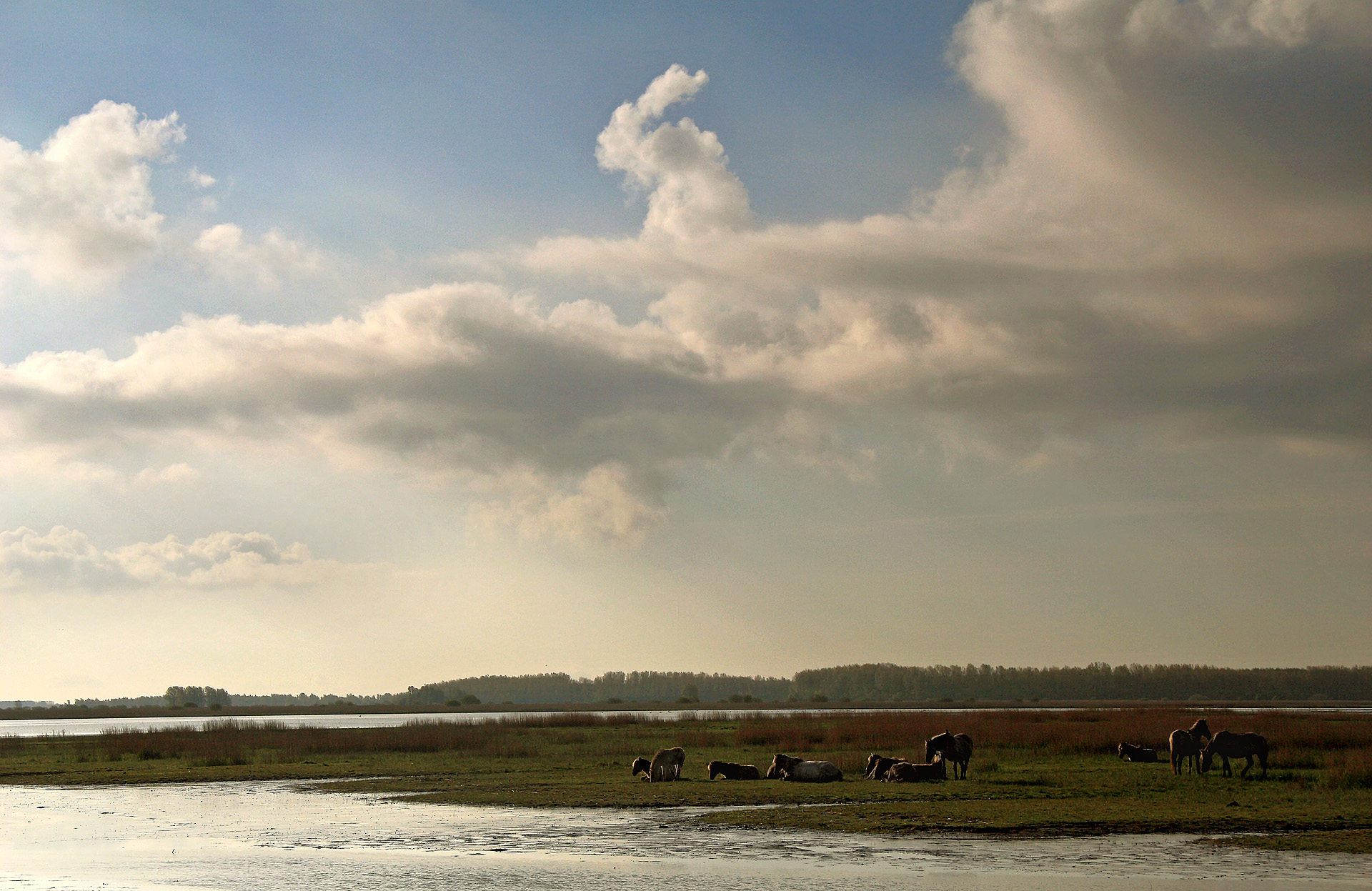 008-Zichtopde Esumakeeg-rh_20130514_002