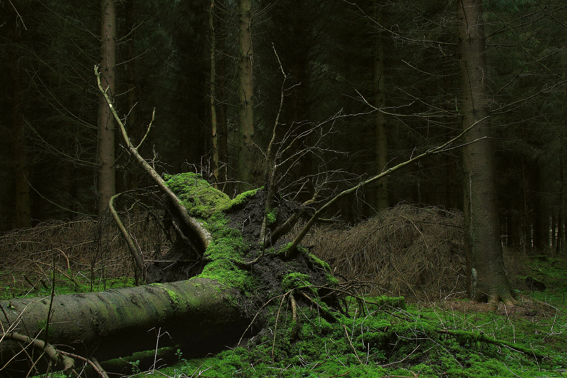 009-Russischlandschap-rh_20090315_001