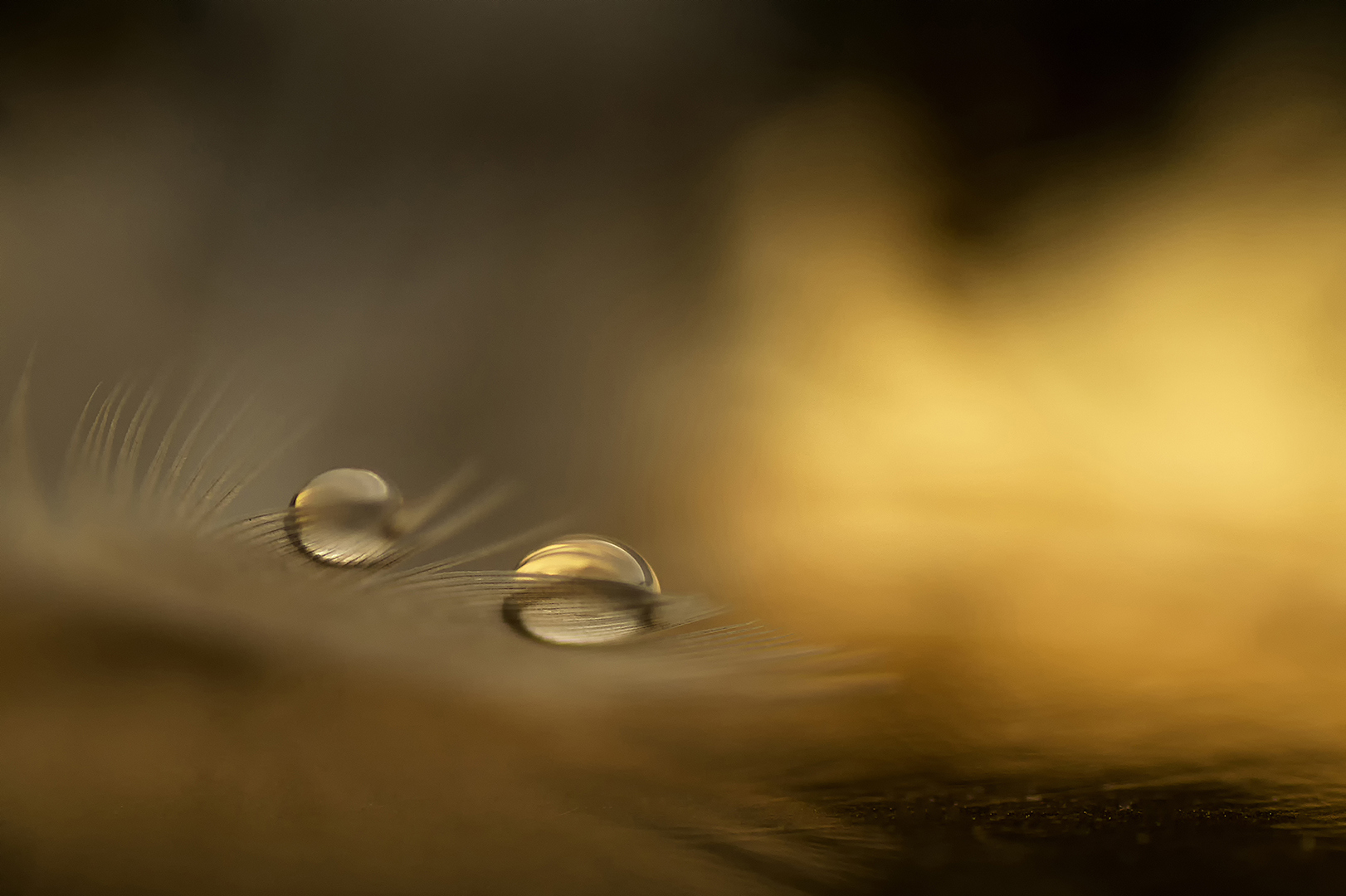 02-Golden Drops - Birgitte Bergman
