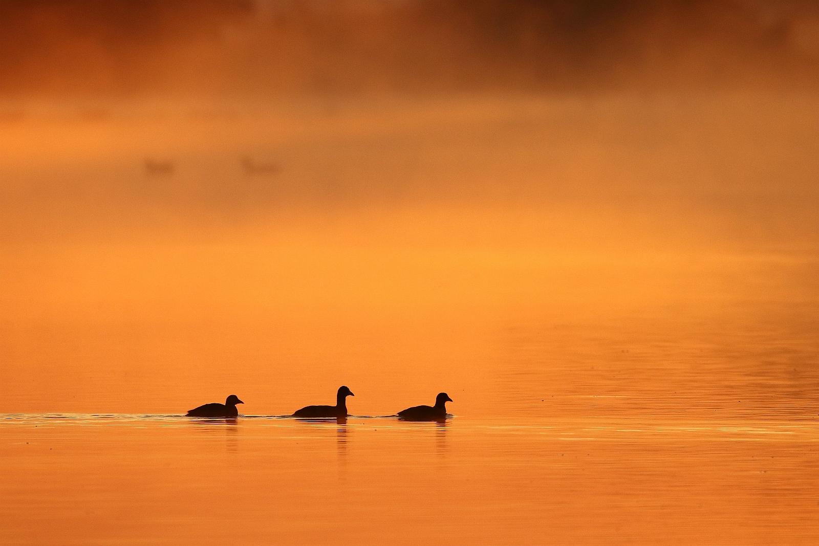 Drie op een rij Dick Renes