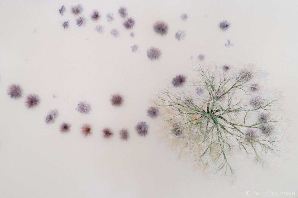 Foto 3 Paul Boom in hoogwater