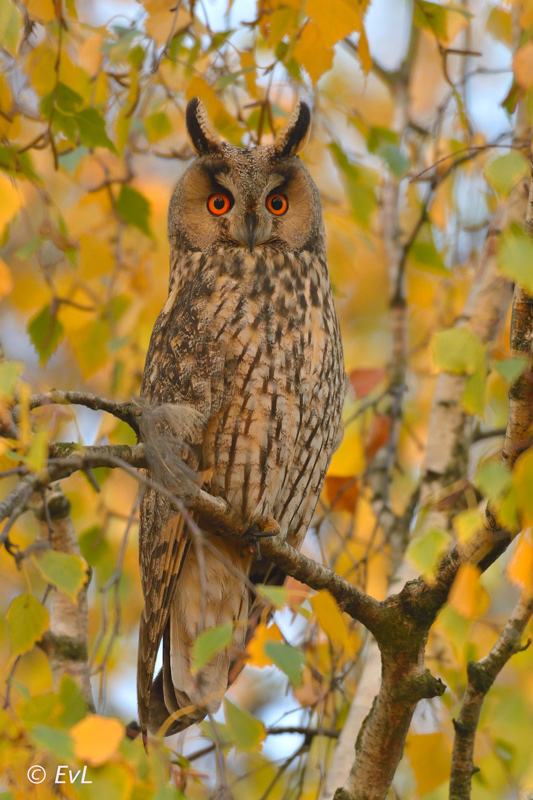 !cid_1B4FA834-0D64-4D9F-A4CD-0B32600F1F91