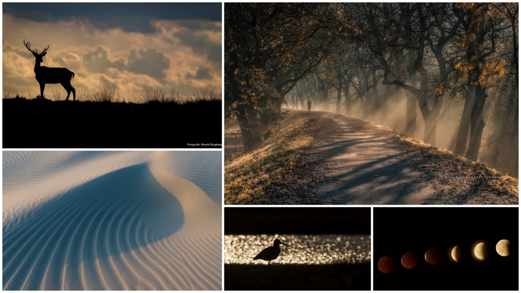 1-Silhouetten en schaduwen