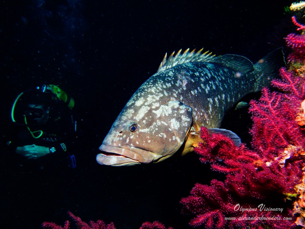 20120822-12-00-18-9713