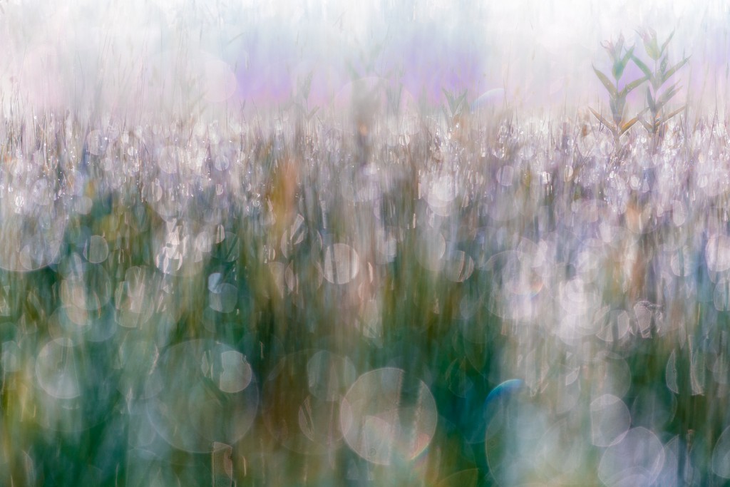 20180520-055939-224-e-e