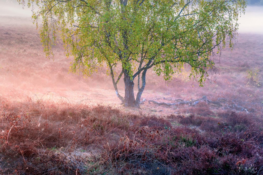 20181021-073322-09-e