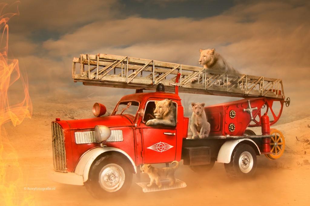 20190311-laderwagen vol leeuwen