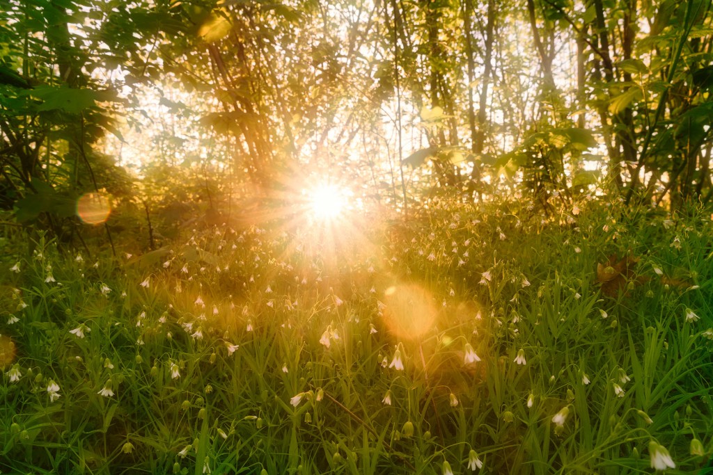 20190425-064822-02-bewerkt