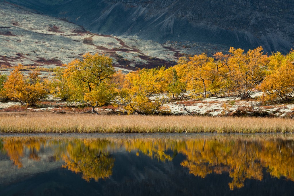 Herfstbomen en bergen weerspiegelen in een meertje in Doralseter; Autumn trees and mountains reflect in a little lake in Doralsaeter.