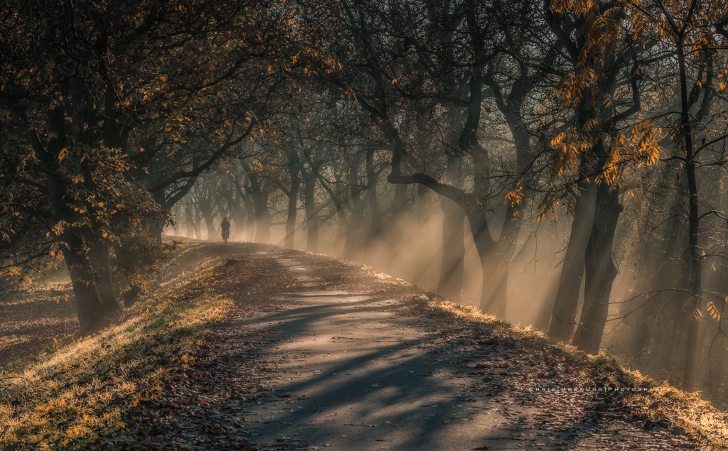 Notendijkje - Chris Hornung