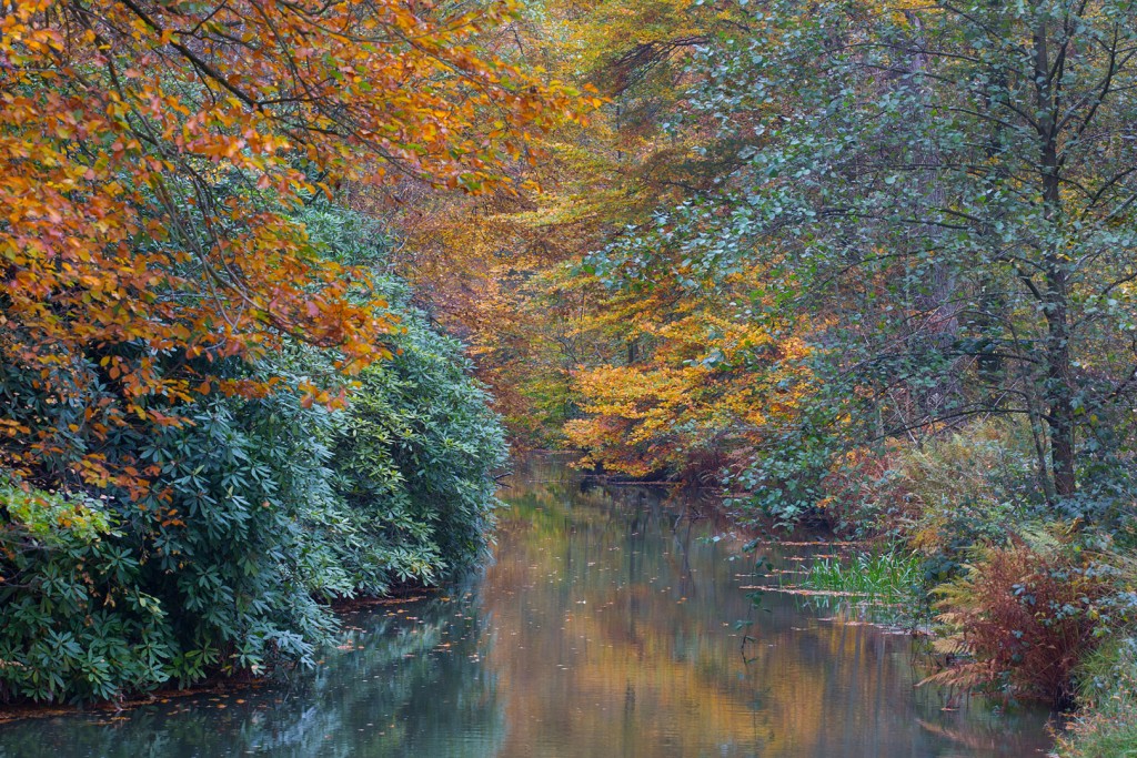 Twickelse Vaart © Marga Ronhaar