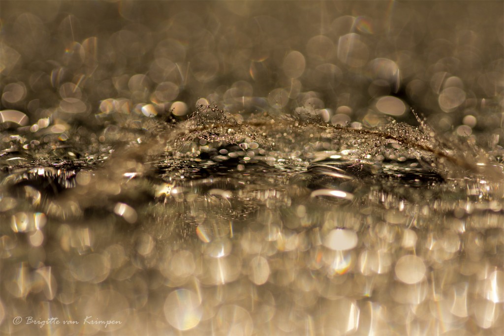 Bling Bling Brigitte van Krimpen