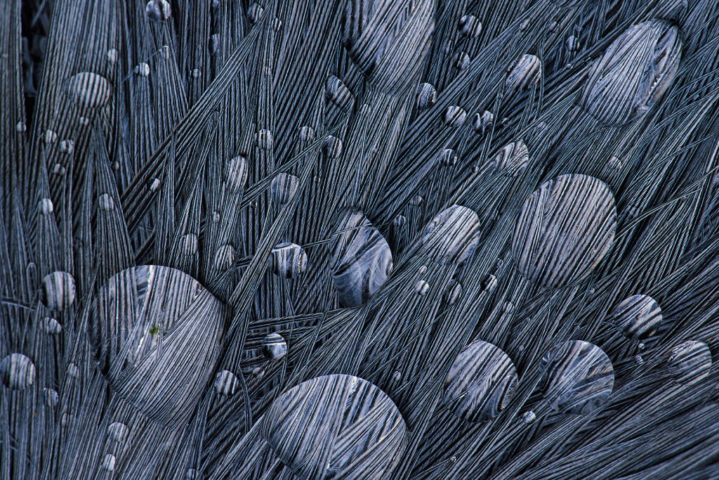 Dauwdruppels - Jaap de Vries