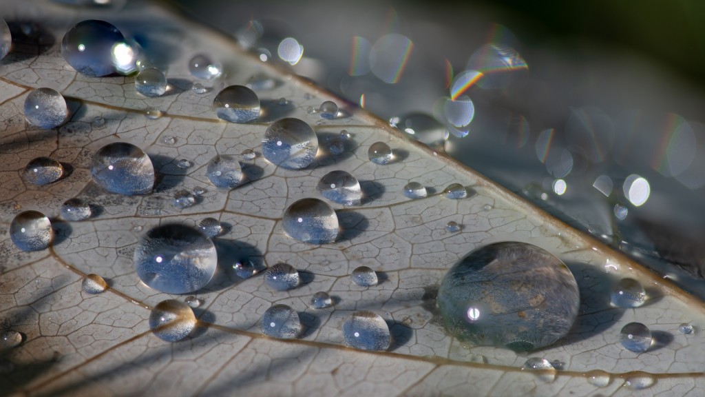 Druppellandschap Elbert