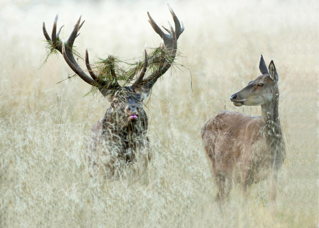 _K3B1550definitief-(8)_1507x1080