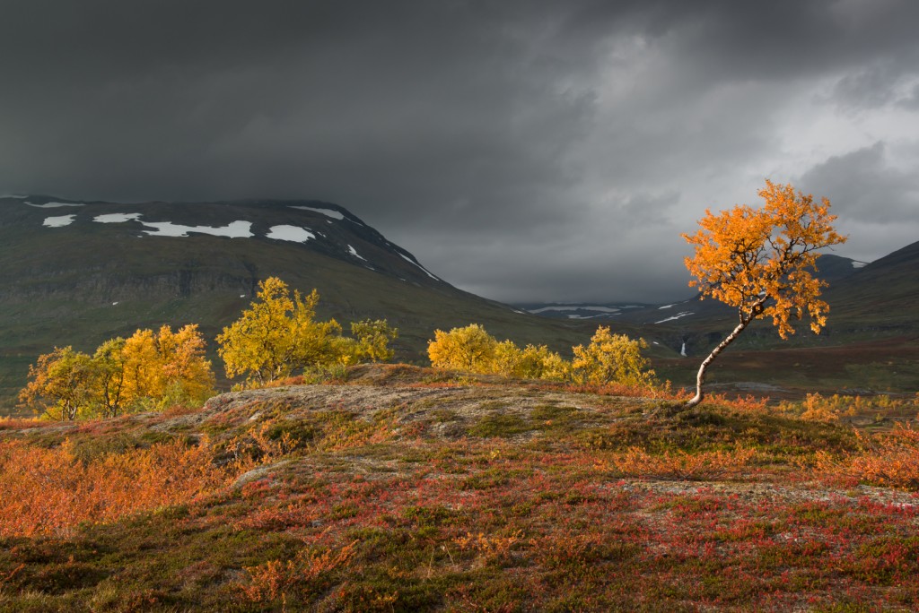 herfst-in-Zweeds-Lapland