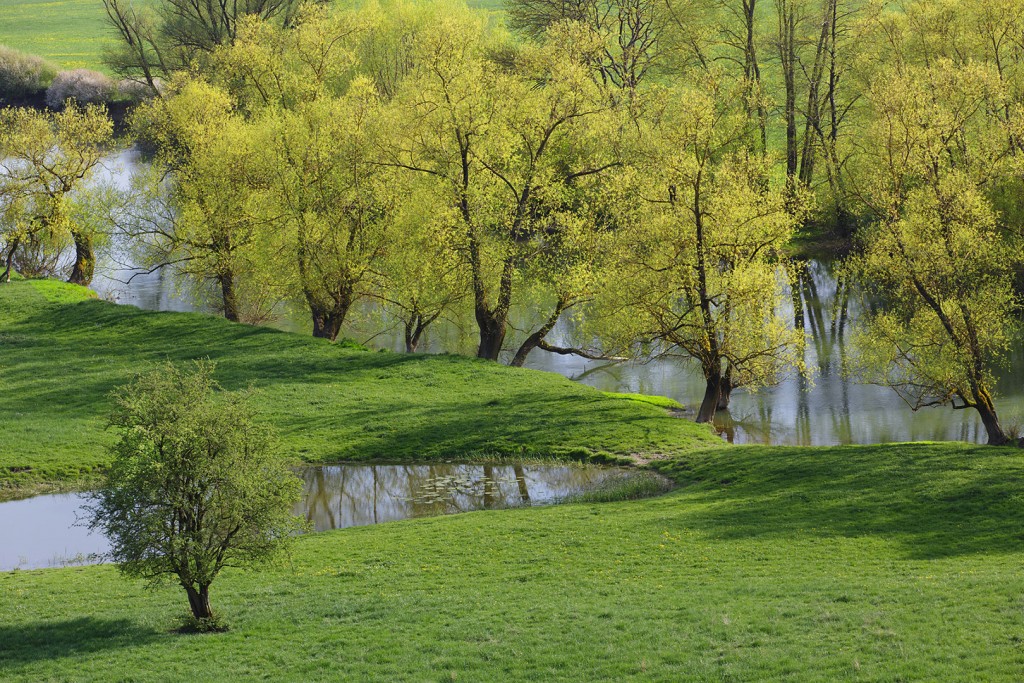 Lente aan de Maas - Marga Ronhaar