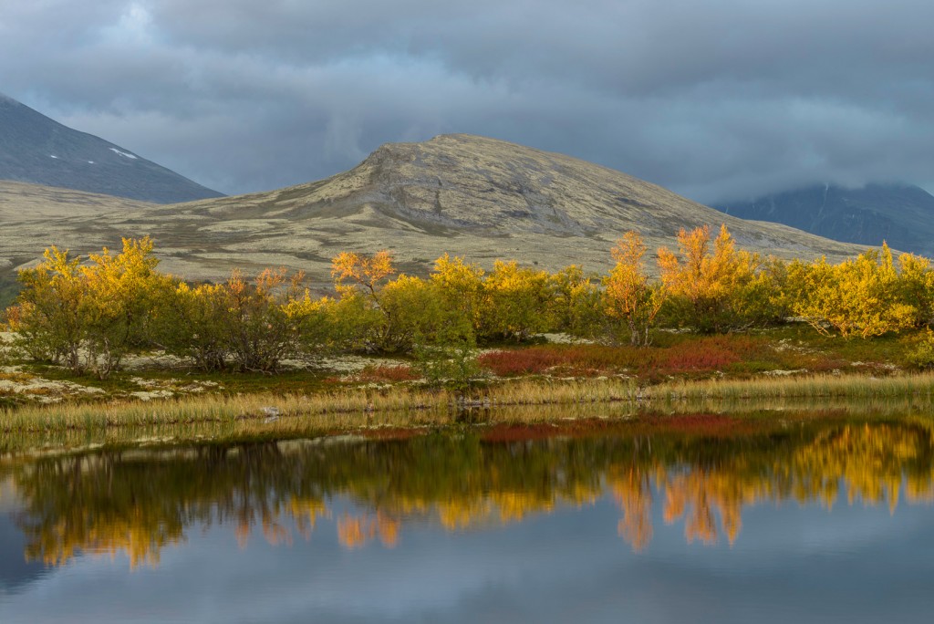 Kleuren in Noorwegen © Lubbert Boersma