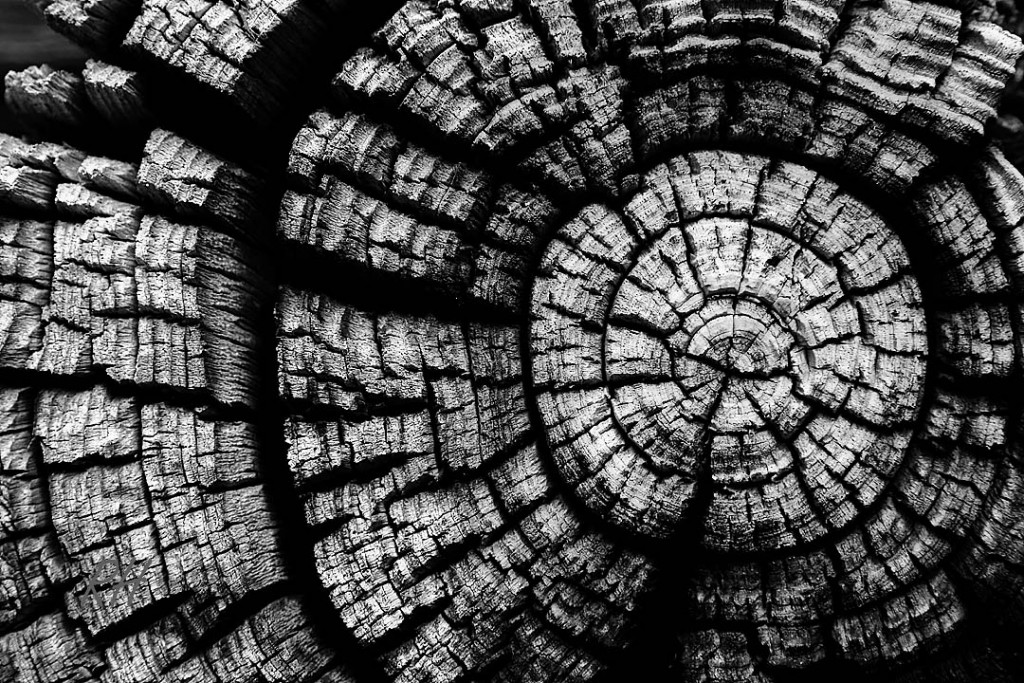 Structuur in BW - Ronald Huijssen