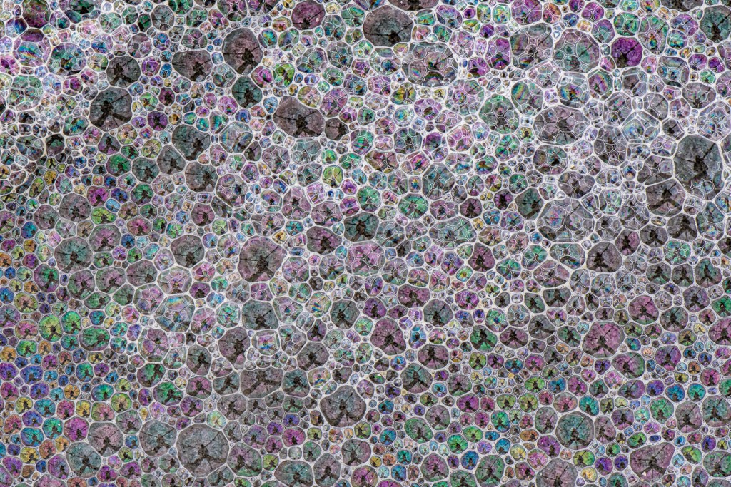 Super Selfie - Rob Blanken-001