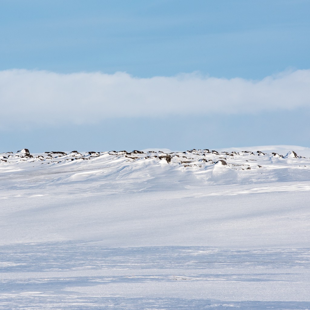 Winterlandschap op IJsland