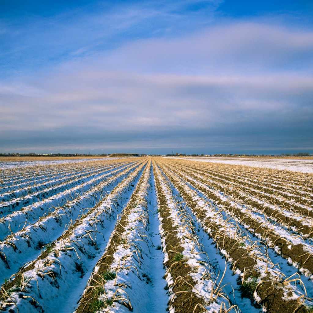 Akkerland in perspectief