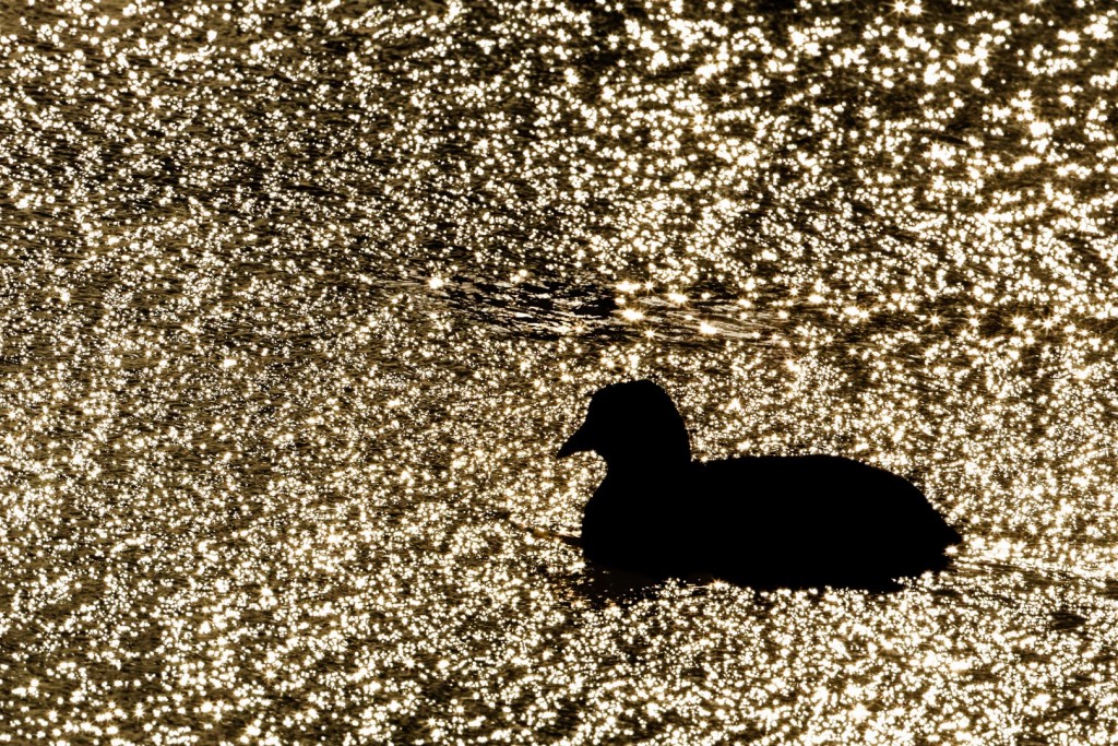 Vantablack Mathijs Frenken