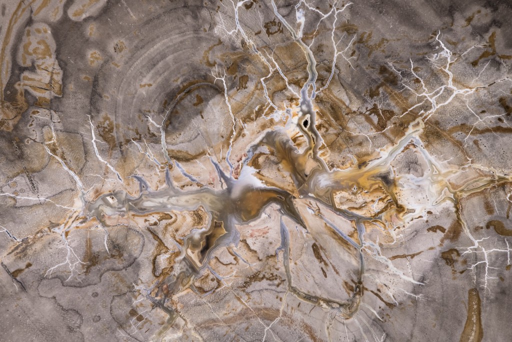 Zeemonster - Rob Blanken