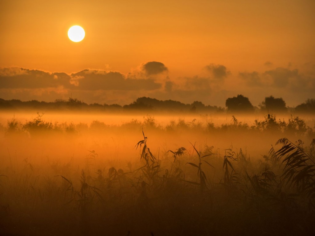 Zonsopkomst-met-nevels