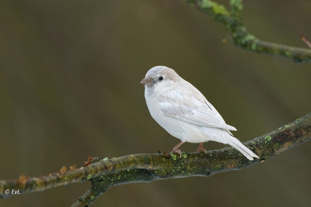 !cid_0113E8B6-79FA-4254-89AA-43627DFFF040