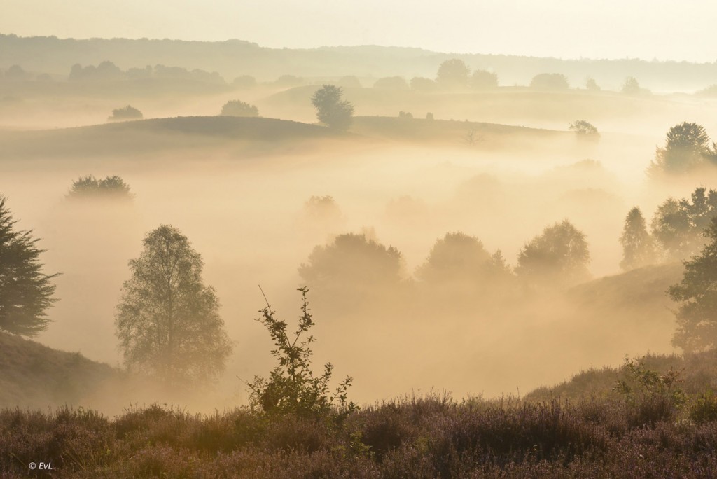 !cid_156CC186-9560-4B20-BBA1-AAFE79B26DB9