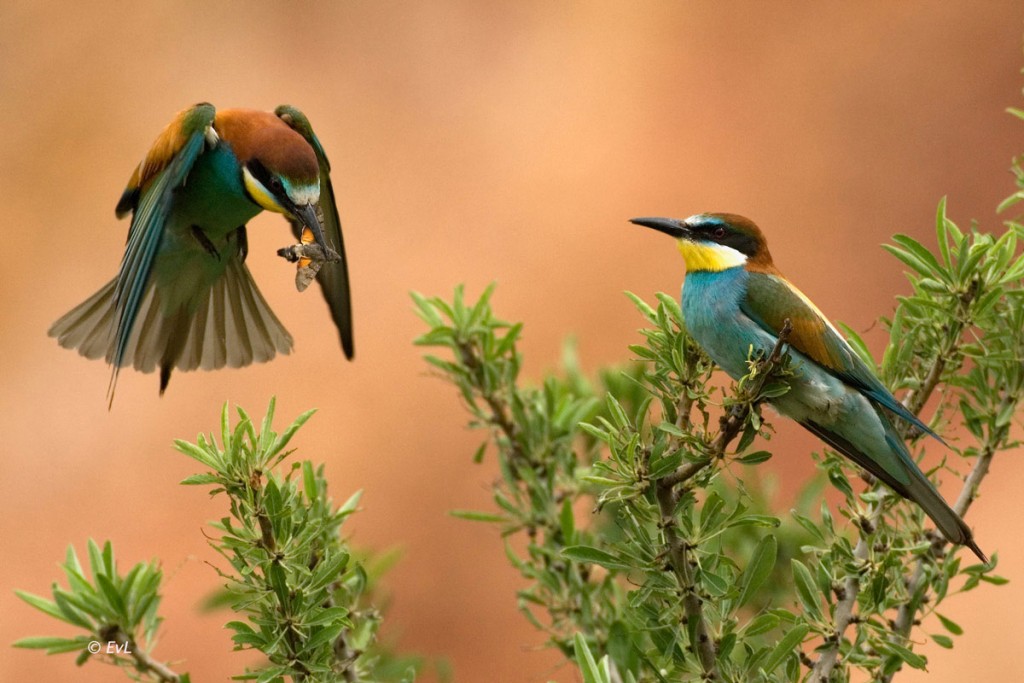 !cid_52C84D6C-0081-4058-866D-4C4EB2BFD257