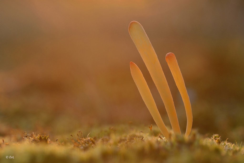 !cid_61BD8E6D-C84A-4A3C-9AF0-D46A5A82F68D