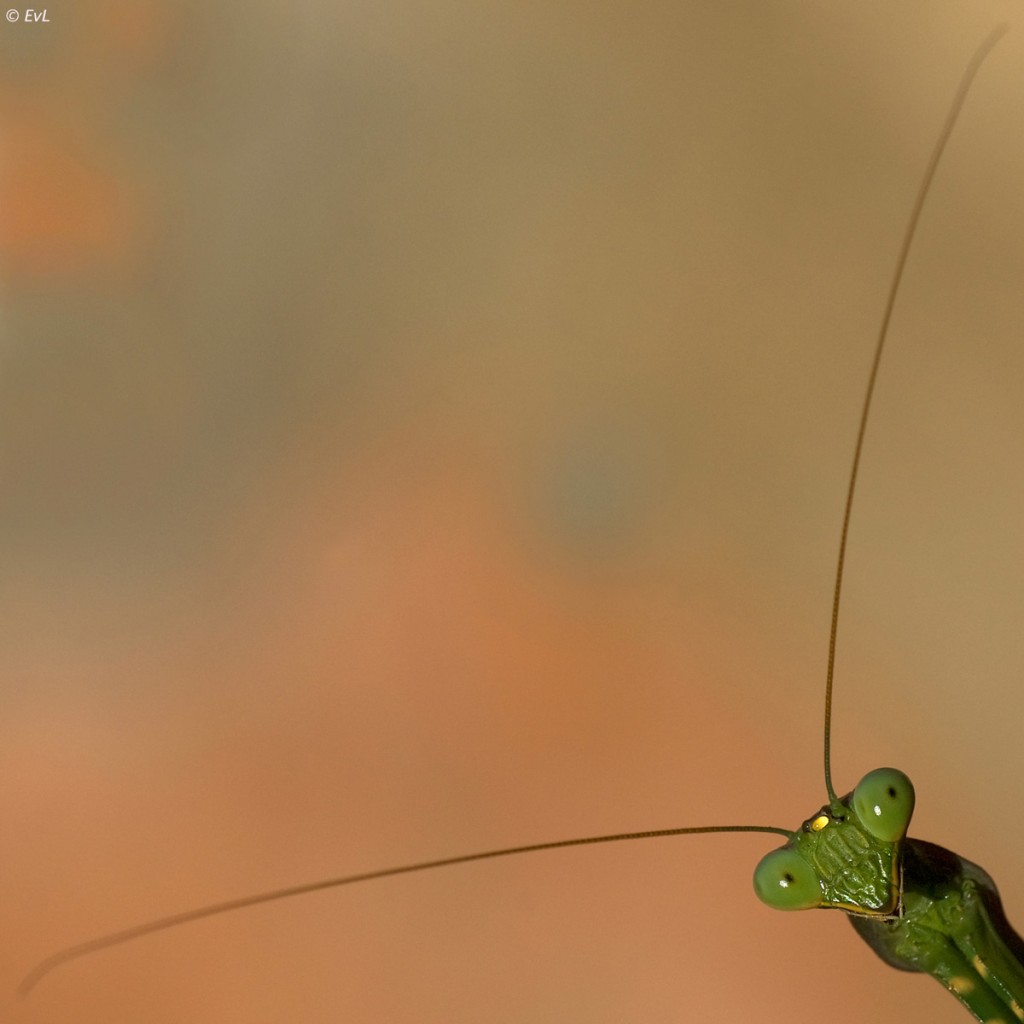 !cid_6D562AB9-EC83-4473-B291-281AF288DD86