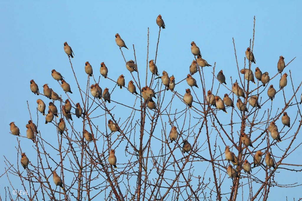 !cid_703CBCCB-FBF7-41EB-9682-0143E4321162