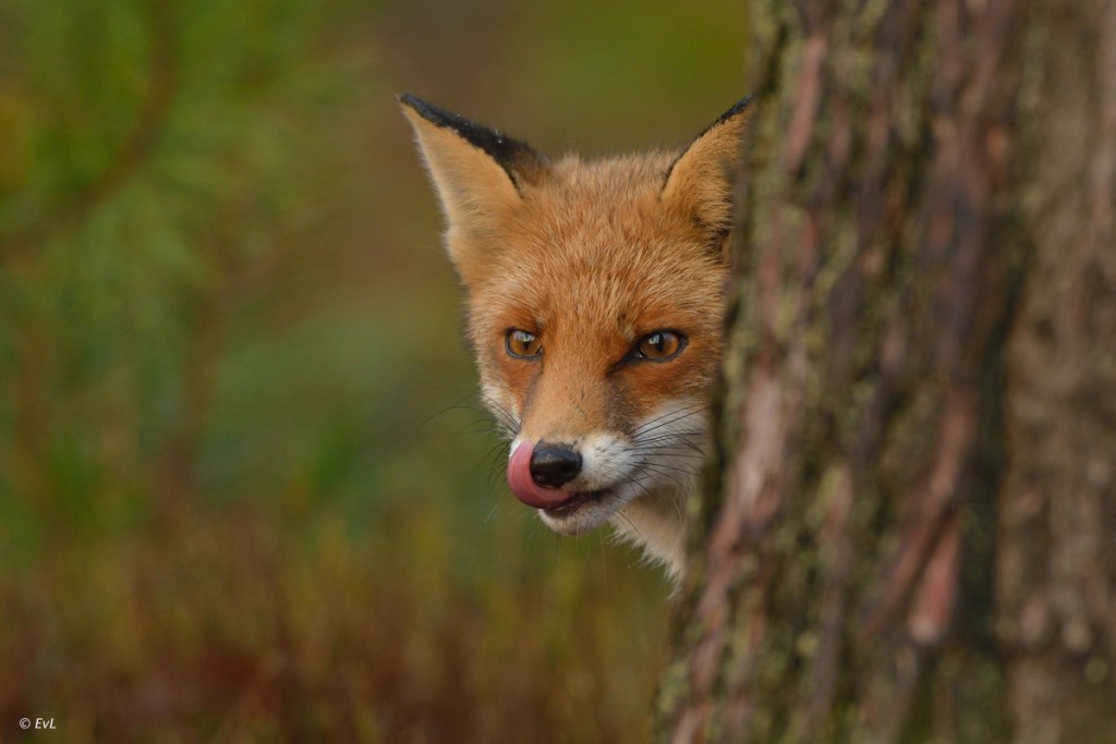 !cid_90B53DE1-965F-402B-95B9-5C6722372E14