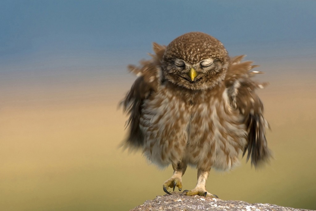 !cid_99A8015F-A37F-41B0-918A-C78B2DEEC9C1