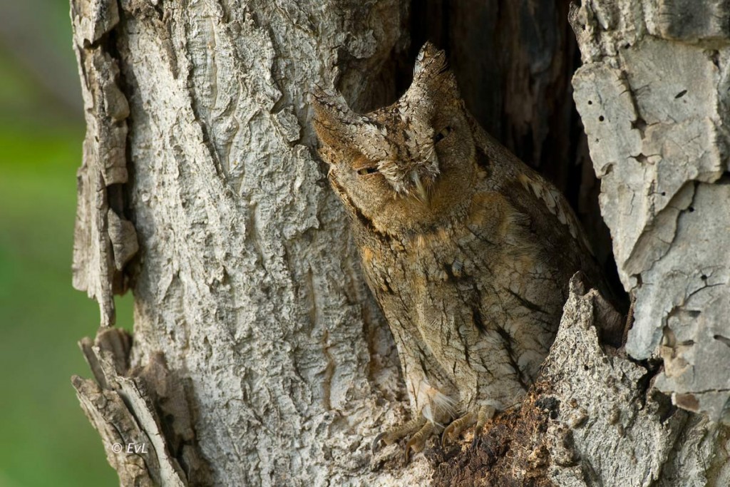 !cid_CC573B1D-A6B3-4C9E-BF63-36C64A665F81