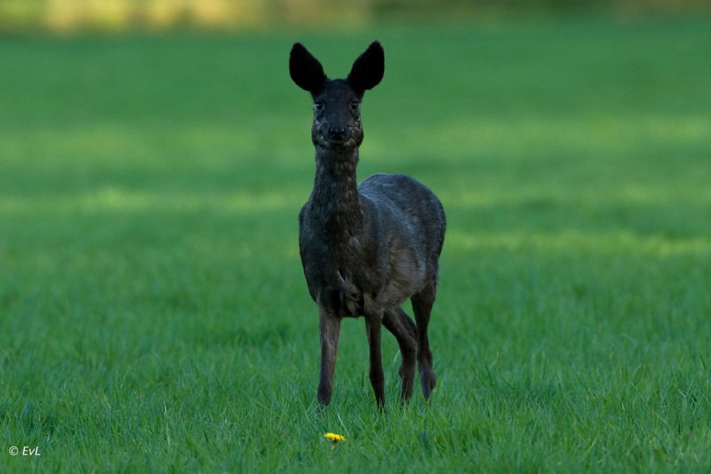 !cid_D5461D3E-FC35-4D8F-B306-92FB33C3CBEE