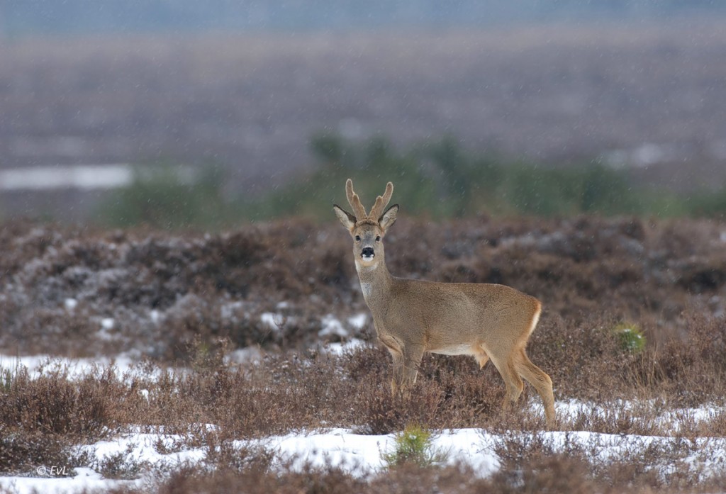 !cid_D6671B70-401B-4520-8401-76BB61BEBDB3