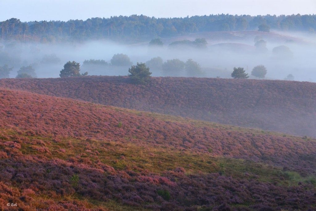 !cid_E703A12C-15FF-4B1D-B039-113B1425C50A