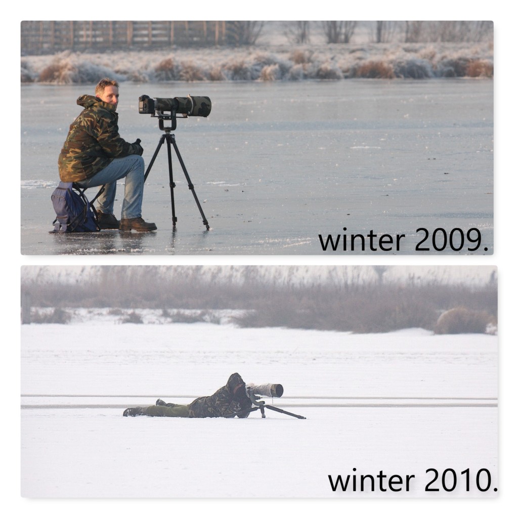 winter in natuurgebied willeskop.